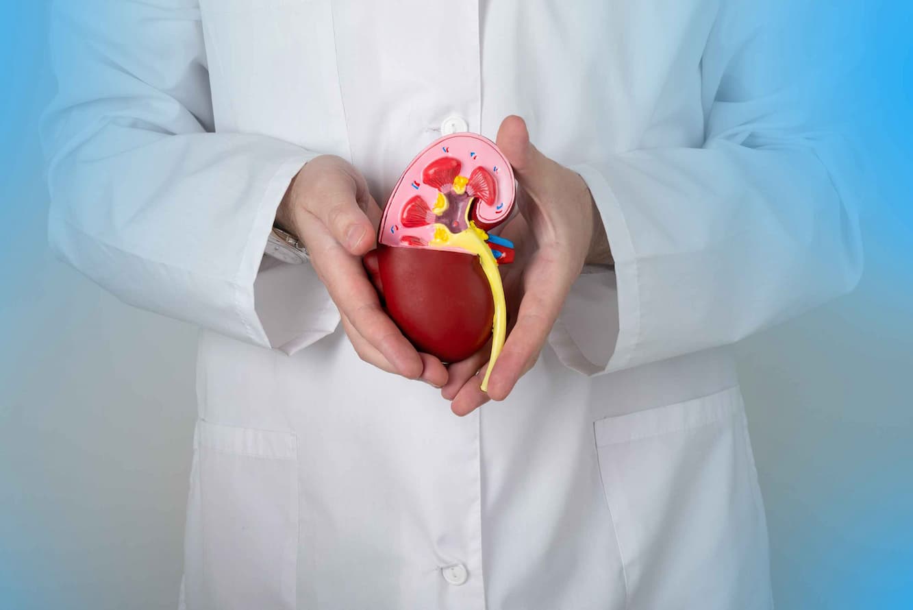 nephrectomy - Medvoyage