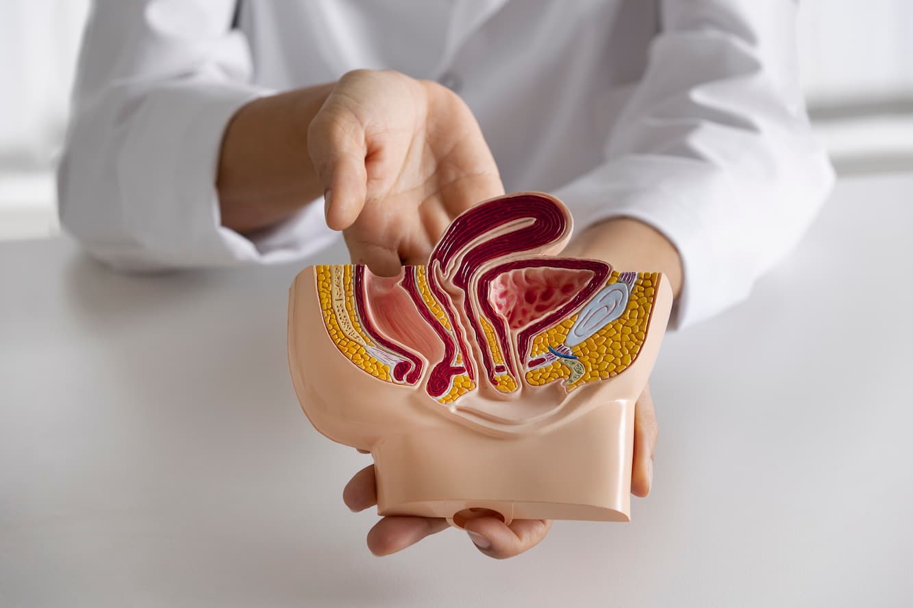 Orchiectomy